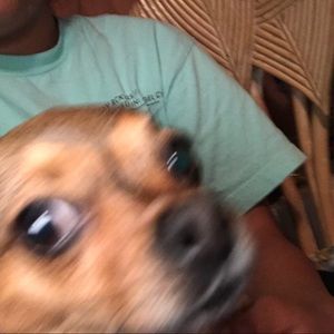 Meet your Posher, Mica